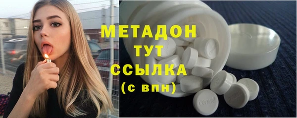прущие грибы Алзамай