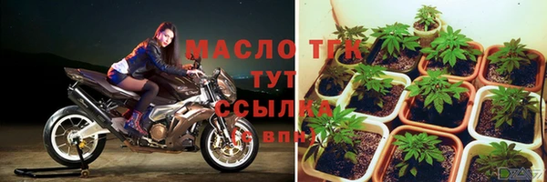 прущие грибы Алзамай