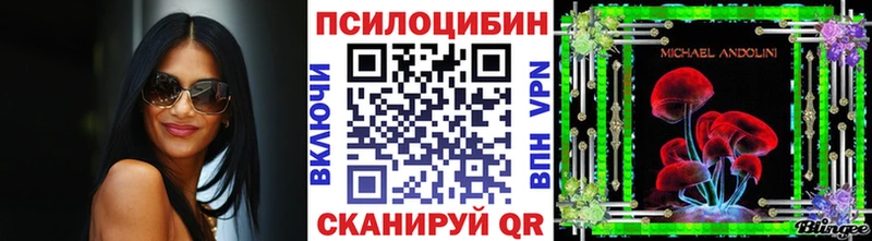 Псилоцибиновые грибы Psilocybe  MEGA ссылка  Тосно 