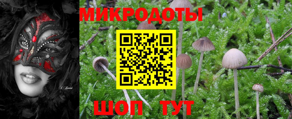 Псилоцибиновые грибы ЛСД Тосно