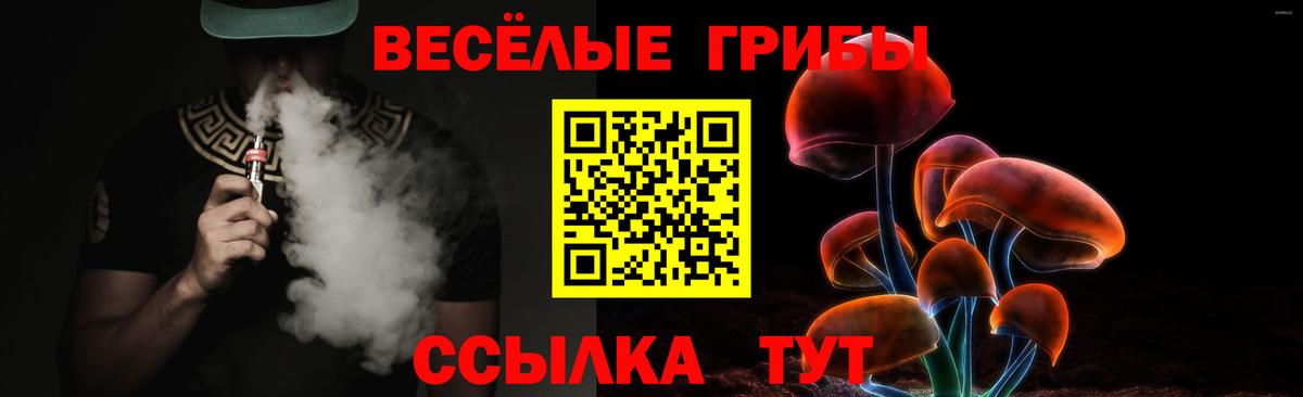 Галлюциногенные грибы GOLDEN TEACHER  Вход с VPN  Тосно 
